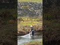 🥅雨の中、鴨川で網を打つ 😮Casting a net in the rain, on the Kamo River🇯🇵 #beautiful #kyotowalk #リラックス #京都