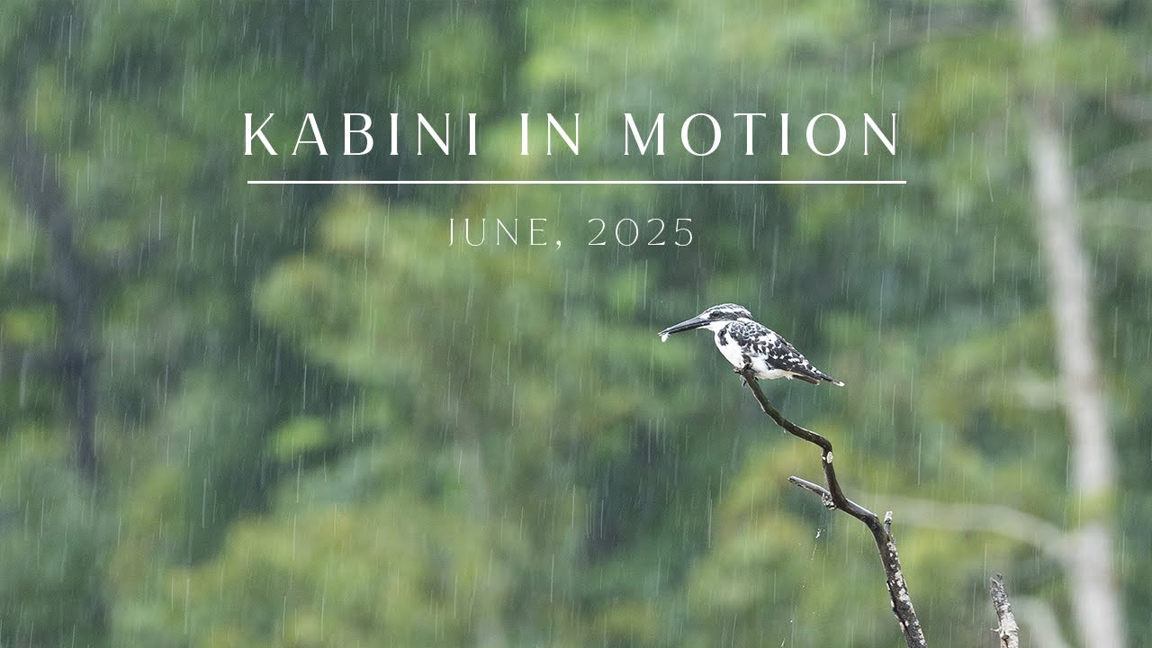 Kabini in Motion | June 2025 | Evolve Back Kuruba Safari Lodge