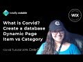 Corvid Basics: Create a Database, Presets, Dynamic Item vs Category, Import Data