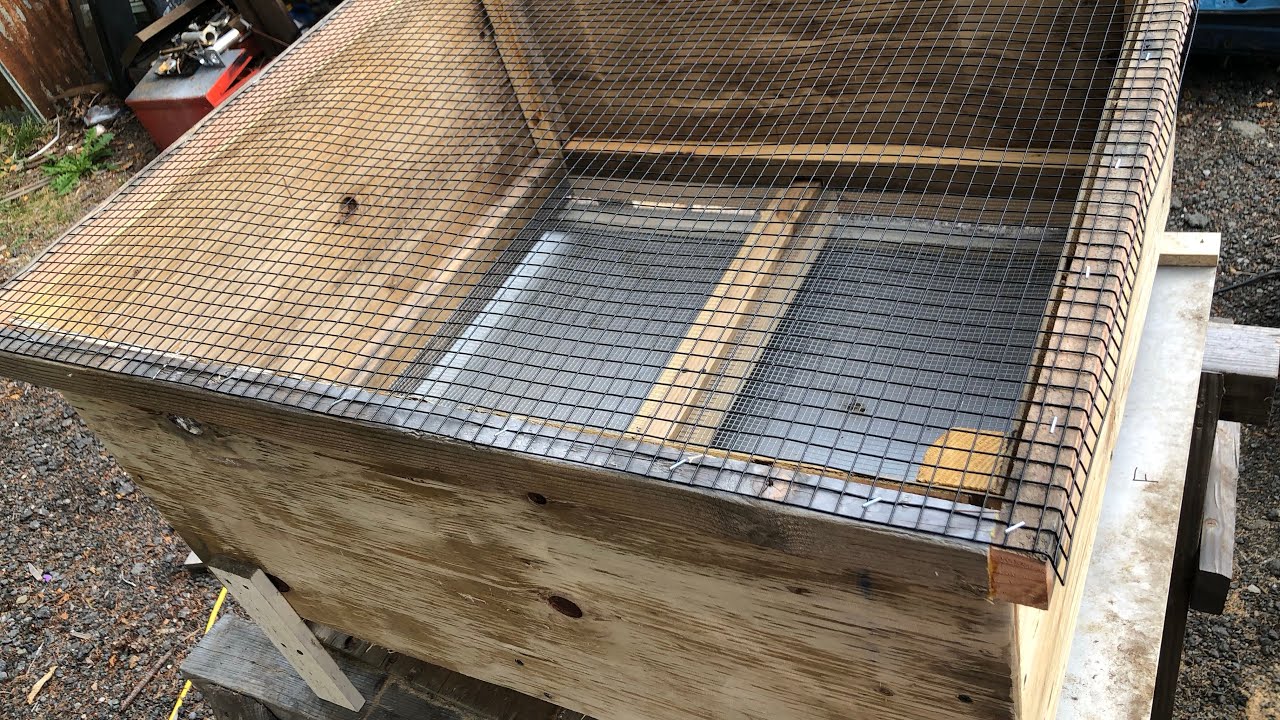 Quail Brooder Guard Building a poor man’s quail brooder - YouTube