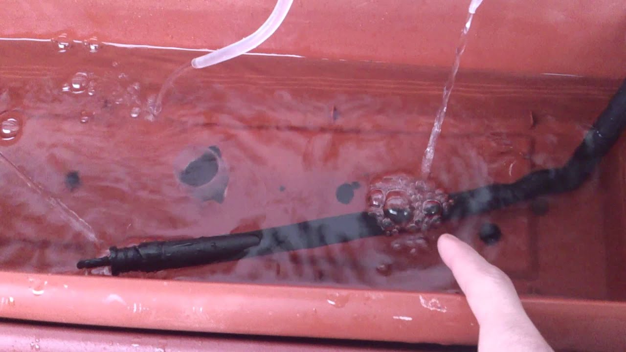 Gua De Hidropona Para Principiantes Aprender Paso A Paso