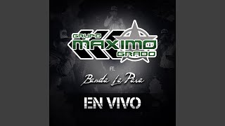 El Gallo (feat. Banda La Pava) (En Vivo)