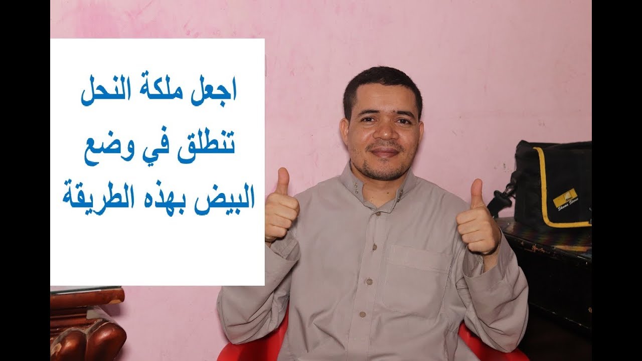 أفضل طريقة لتحفيز ملكة النحل على وضع البيض بسرعة وبغزارة