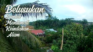 Belusukan tipis-tipis