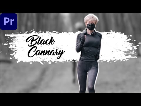 Premiere Pro Tutorial: Creating a Freeze Effect for Character Introductions