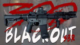 Ultimate 300 Blackout SBR Truck Gun Build – AR-15 .300 BLK Beast!