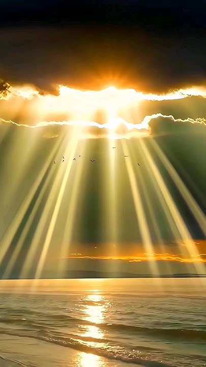 How Many Kilometers Does Light Travel In 1 Sec shorts facts light how-many-kilometers-does-light-travel-in-1-sec-shorts-facts-light