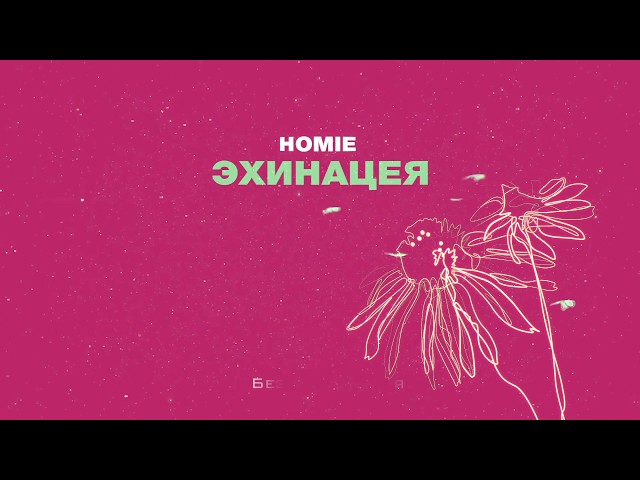 HOMIE - Эхинацея