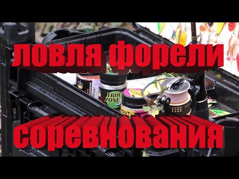 Video: Форель менен толтурулган бадыраң