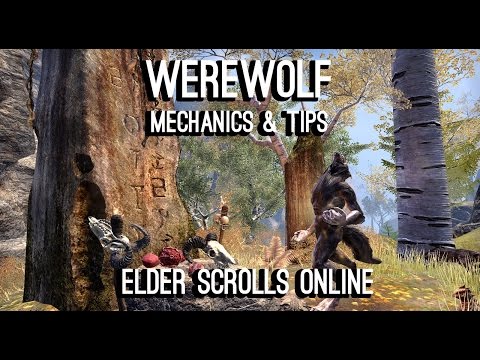 Stamina Sorcerer Werewolf Build PvP for Elder Scrolls ...