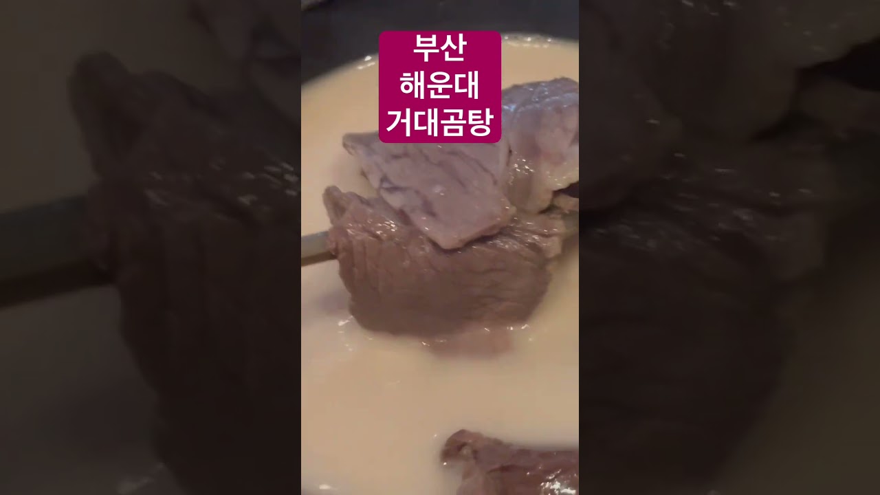 부산 해운대 맛집 거대곰탕, 인정할 수 밖에 없는 맛집 #맛집 #해운대맛집 #거대곰탕