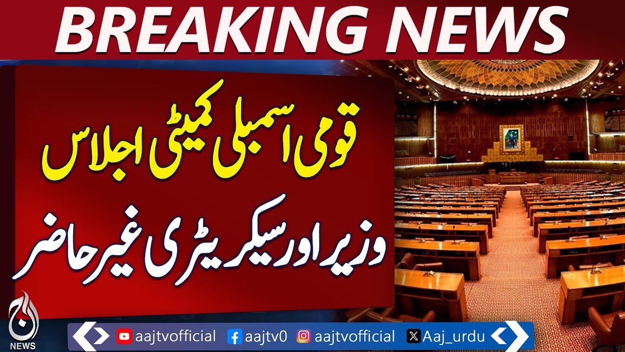 Pakistan Rafiullah National Assembly Committee | Overseas Pakistanis | Minister Absent ...