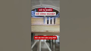 Mũi cắt rãnh uốn cong ván Tideway. Giải pháp uốn cong gỗ công nghiệp