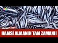 1 kilo hamsi 200 lira!