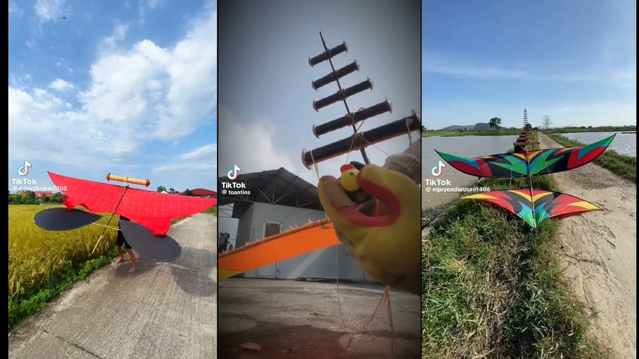 Tổng hợp video diều sáo từ các nghệ nhân top tóp 