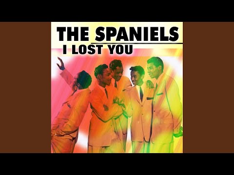 I Lost You