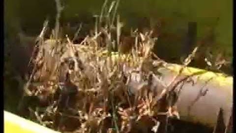 Soyabeen Thresher Demo video