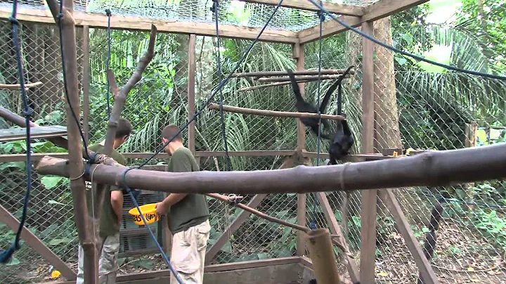 Natuurbehoud in Peru met Projects Abroad - vrijwilligerswerk buitenland