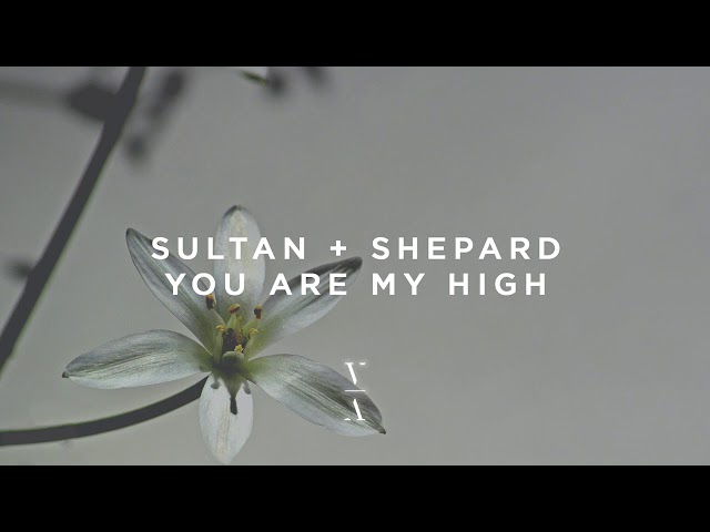 Sultan & Shepard - You Are My High