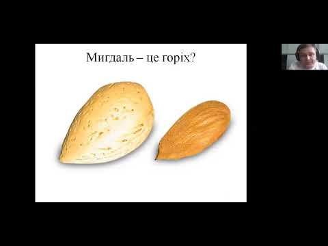 Чому кавун не ягода та інші парадокси класифікації плодів (Заняття 21)
