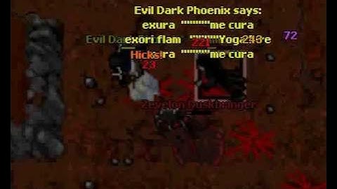 Zevelon Duskbringer astera