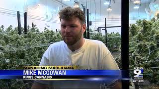 Too much weed too little demand