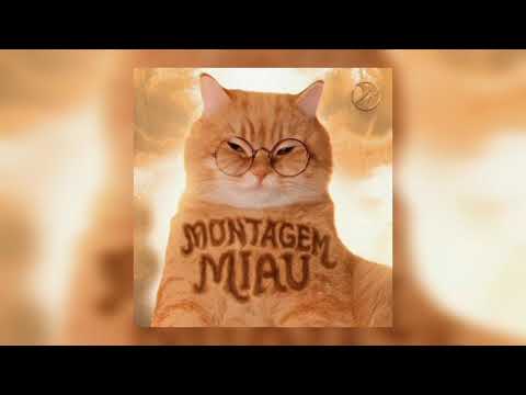Montagem Miau 
