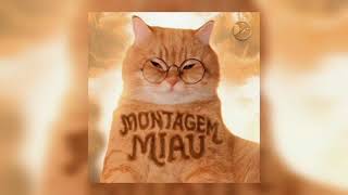 Download Lagu Montagem Miau MP3