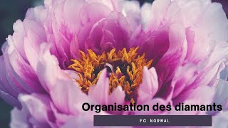 Organisation des diamants et préparation du dp de FG Normal