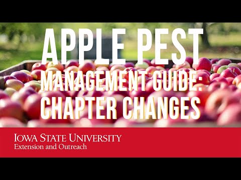 वीडियो: सर्वव्यापी सेब स्टोआट कीट