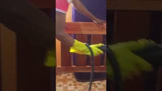 Bed bugs infestation 🔥🔥 i #cleaning #cleantok