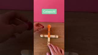 How To Build A Catapult for Kids | STEM Activities for Kids | #shorts
