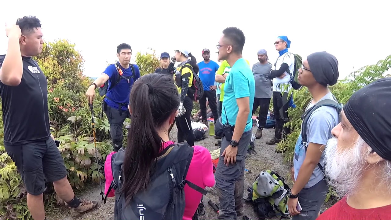 Pine Tree - Twin Peak - Jeriau Waterfall