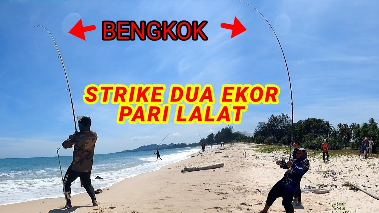 TARIKAN PADU SANG PARI LALAT MASA PERTANDINGAN MEMANCING PANTAI TJG.ARU MENUMBOK SABAH #surfcasting