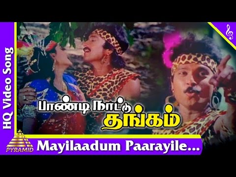 ilam vayasu ponna vasiyam song