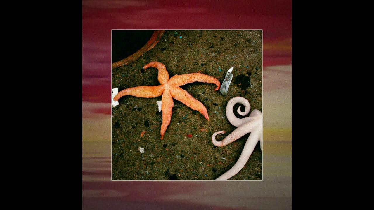 $pongeboy$ - Gloom ($uicideboy$ AI Cover) $pongeboy$ - Gloom ($uicideboy$ AI Cover)