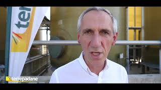 Terrepadane Vetrina Cereali 2021