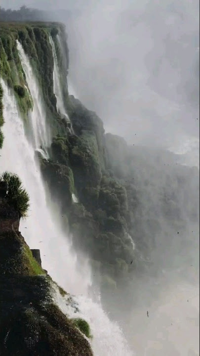 Tetap sederhana saja 😎 #shorts #shortsfeed #viral #motivasi