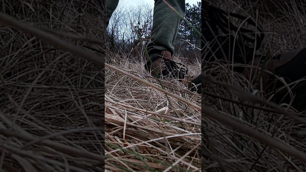 Zrzuty 2024 - First Red Deer Antler - 8-Pointer 