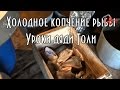 Холодное копчение рыбы,    Вяление, весь процесс,  Практика 18+