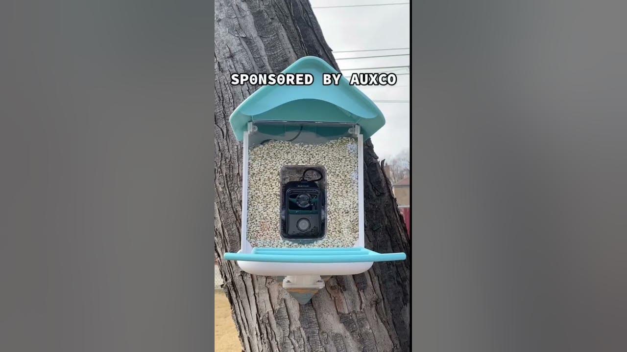 testing the AUXCO camera bird feeder 