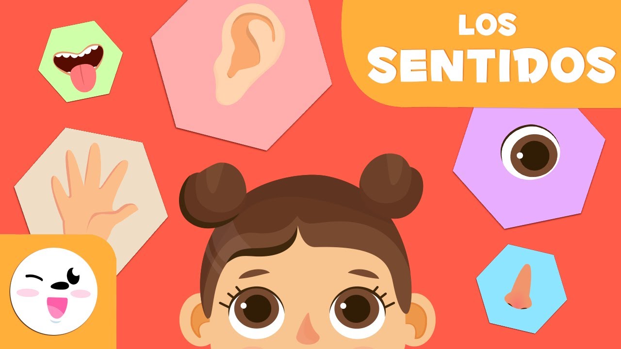 Los cinco sentidos para niños - Educación infantil - thptnganamst.edu.vn