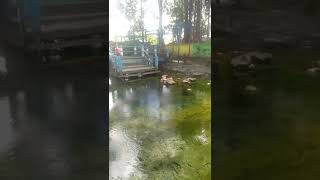 Raffa Affar~Air Mata Di Hari Persandinganmu#short