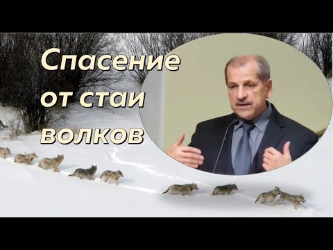 Помни путь (6/7). Спасение от стаи волков (Владимир Миняков)