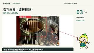 Alvarez 二手電木吉他｜黑色缺角・六弦琴橋・側邊控制｜編號1000127｜柚子樂器