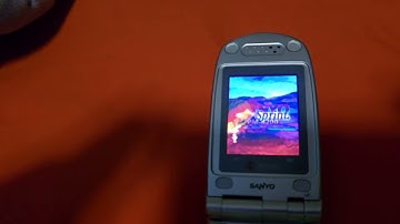 Sanyo PM-8200 (Sprint) Startup/Shutdown