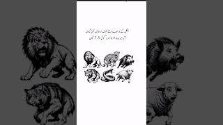 jungle k darenday Urdu Poetry 🥀 Wazeer Poetry 🌹 #viral #trending #deep #emotional