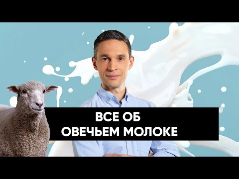 ВСЕ ОБ ОВЕЧЬЕМ МОЛОКЕ