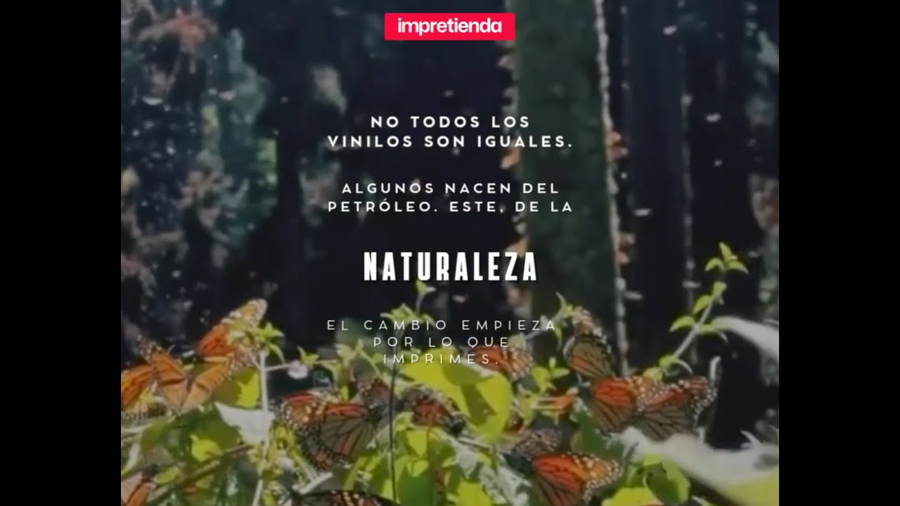 El primer vinilo vegetal FR A2 libre de burbujas | BIOND