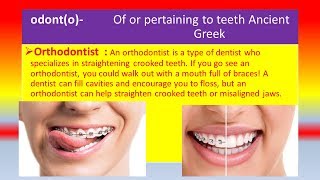 MEDICAL TERMS  [ O ]  PREFIXES, ROOTS, SUFFIXES